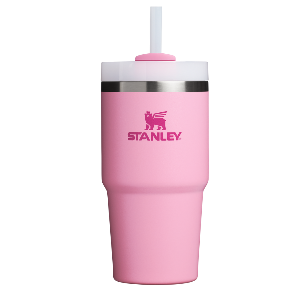 Splash-Resistant FlowState The Quencher H2.0 Flowstate Tumbler D030T - FlowState 3-Position Lid Insulated Travel Mug - Ash